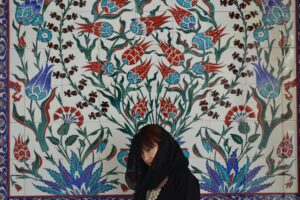 Abu Dhabi Layover Tour Packages - Experience Guide