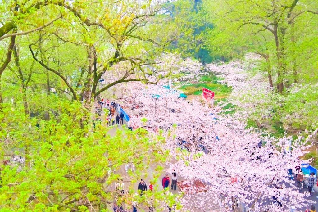 Spring Uae UAE Spring Activities Guide: Perfect 2025 Season