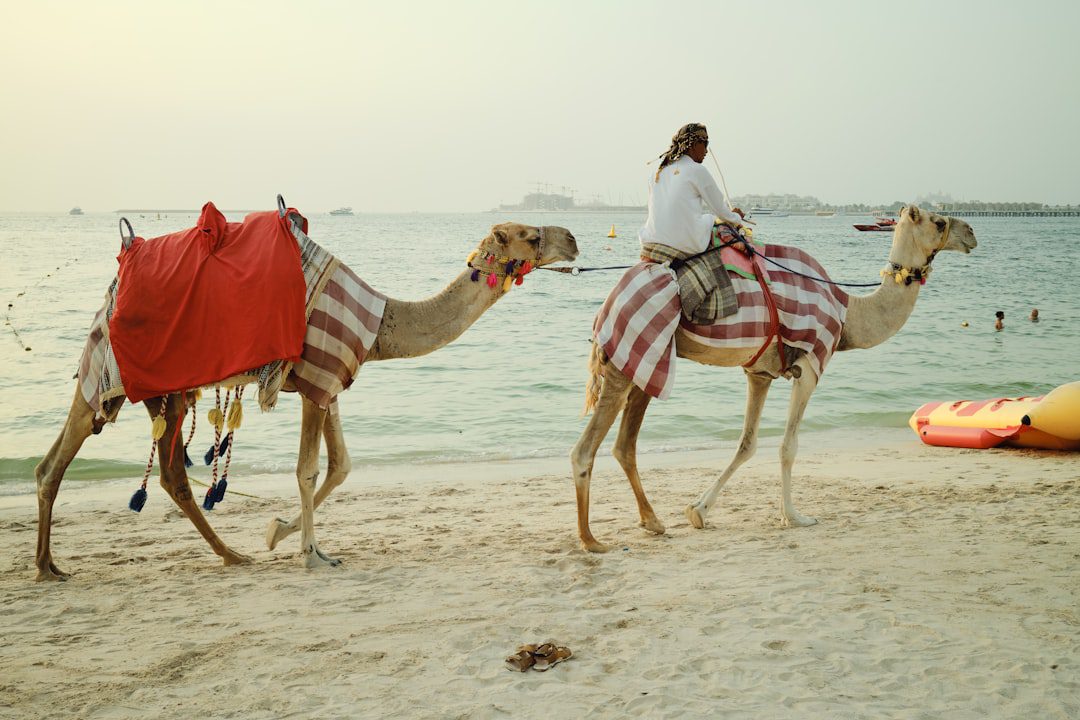 Romantic Emirates Getaway – Experience Guide
