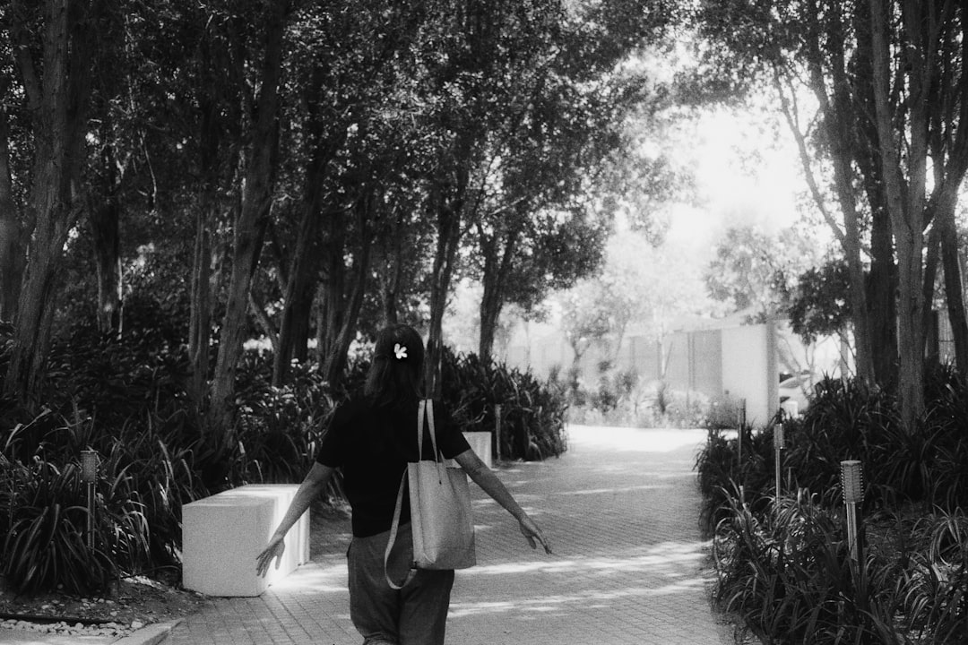 Saadiyat Island Cultural Tour