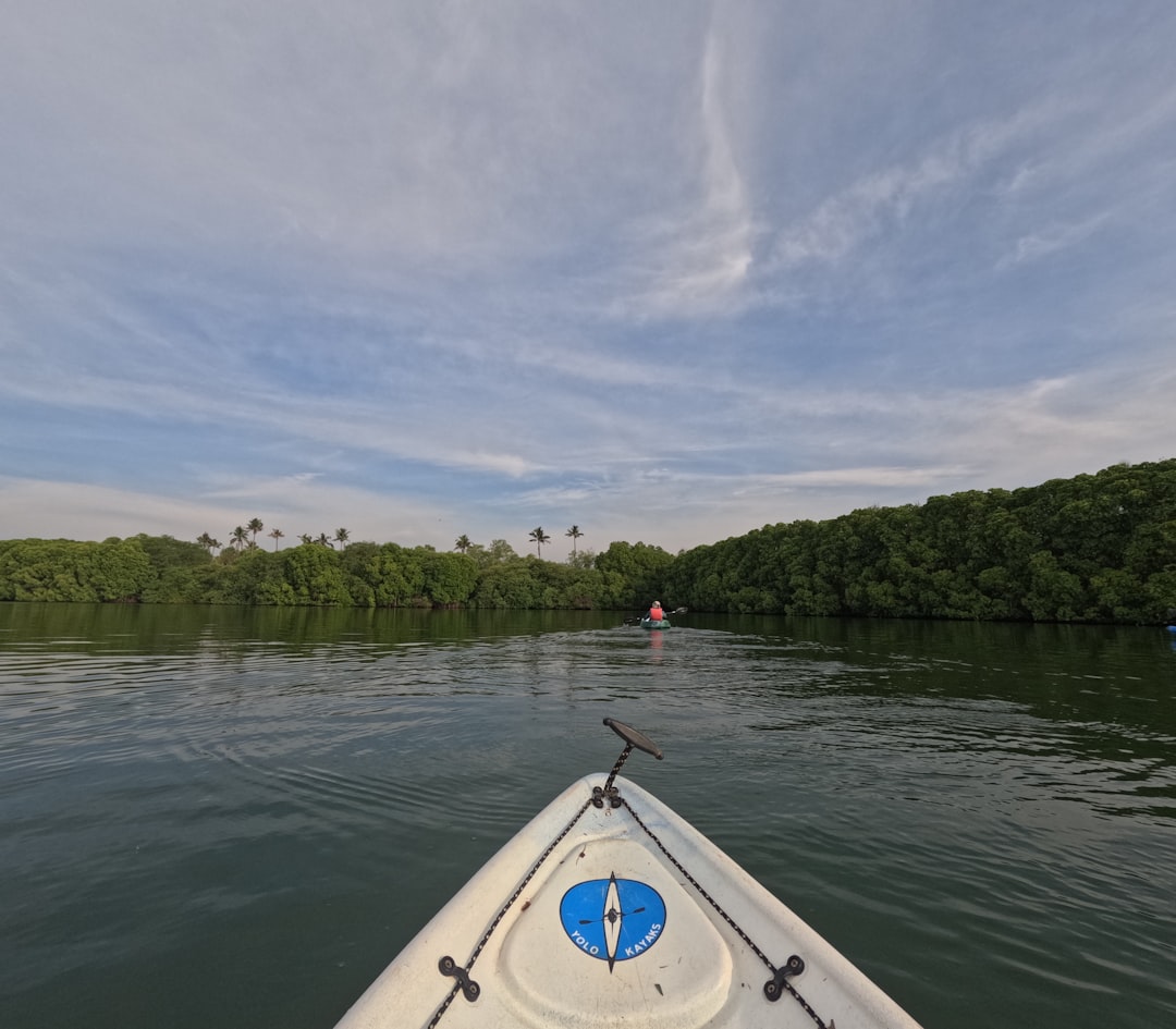 Abu Dhabi Mangrove Kayak & Eco Tour