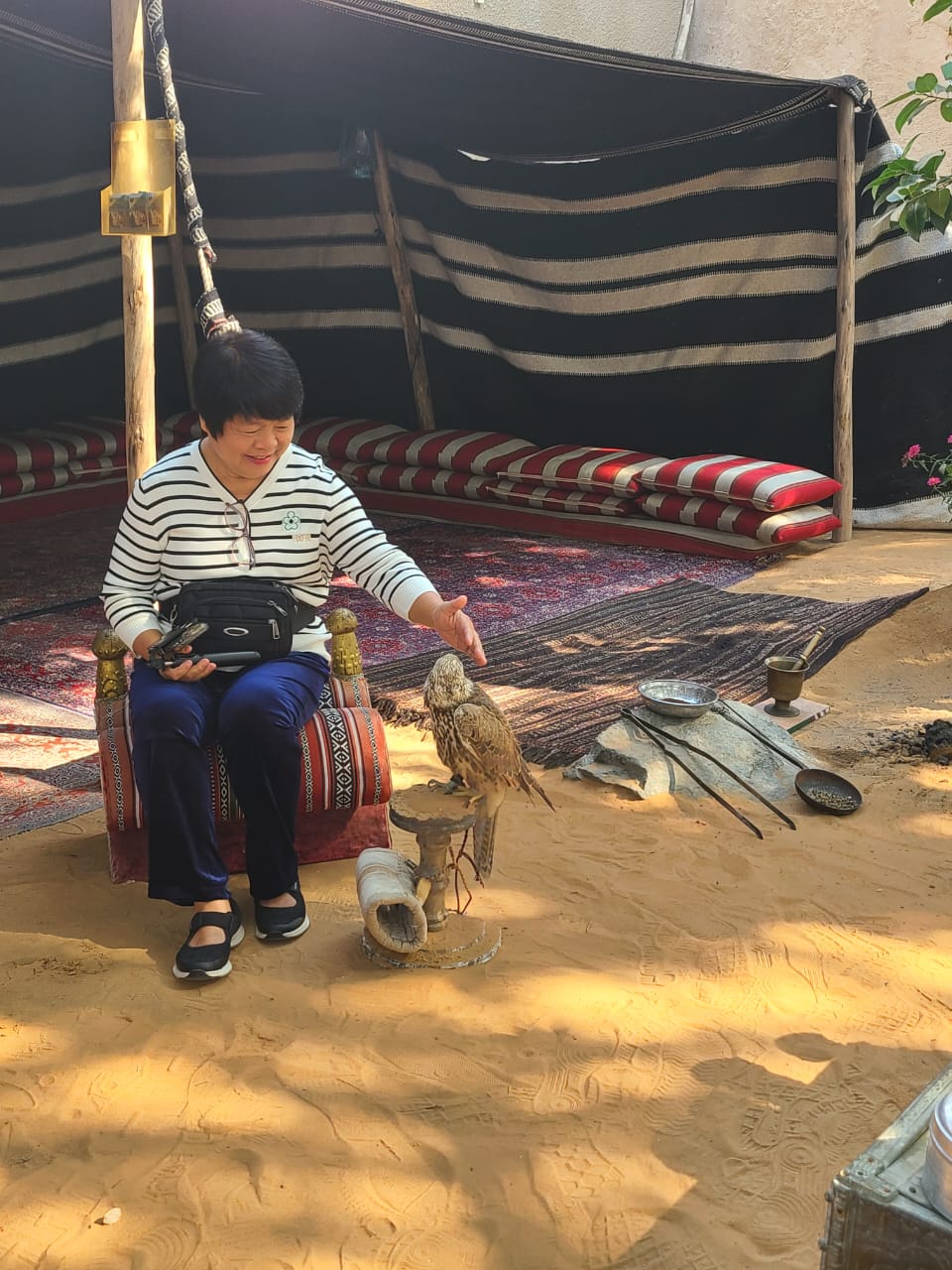 Dubai Camel Trek Experience