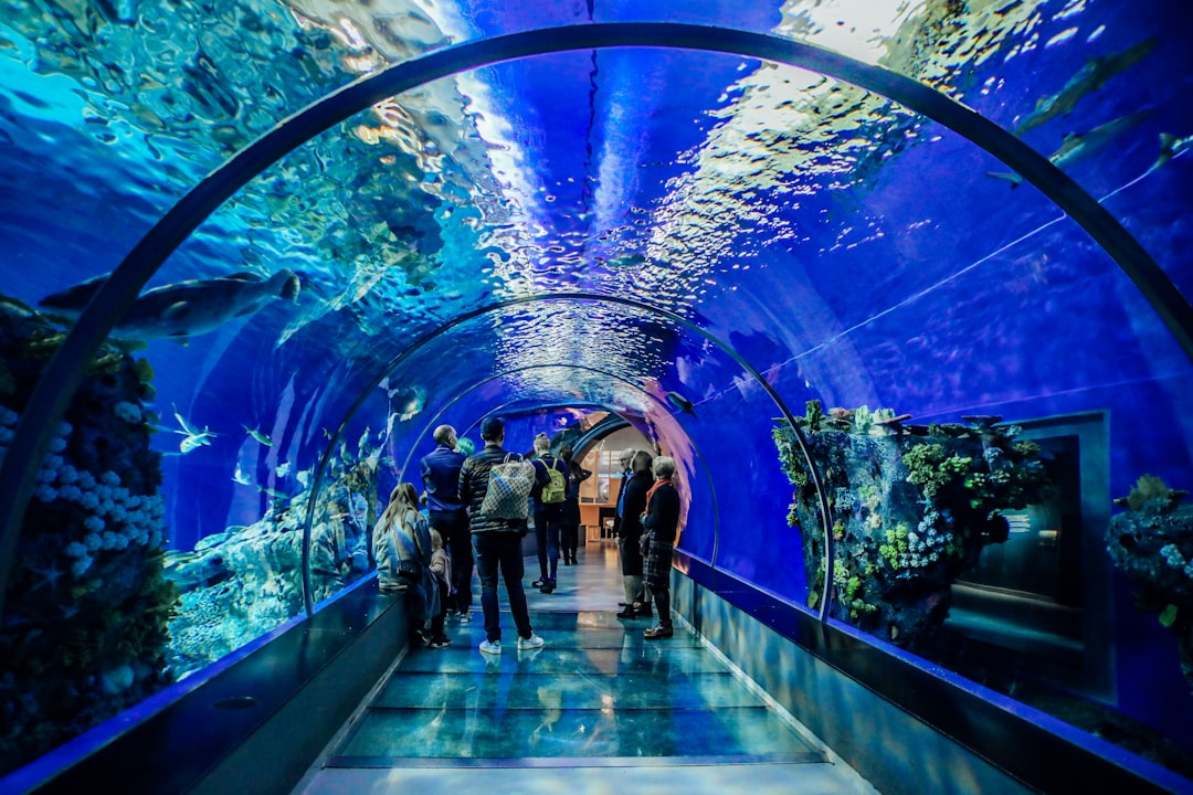 Dubai Aquarium Tour Kids