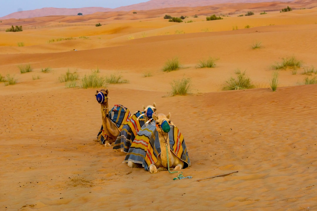 UAE Transportation Value Guide