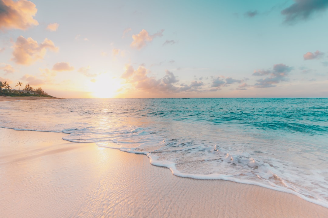 UAE Summer Travel Guide