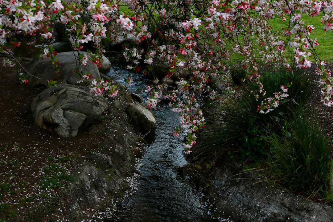 UAE Spring Activities Guide