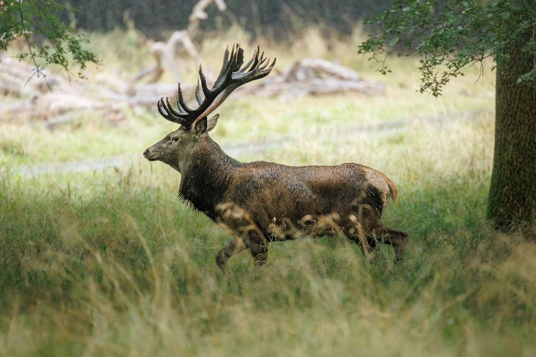 Seasonal Wildlife Nature Tours