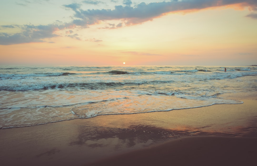 Seasonal Beach Activities UAE