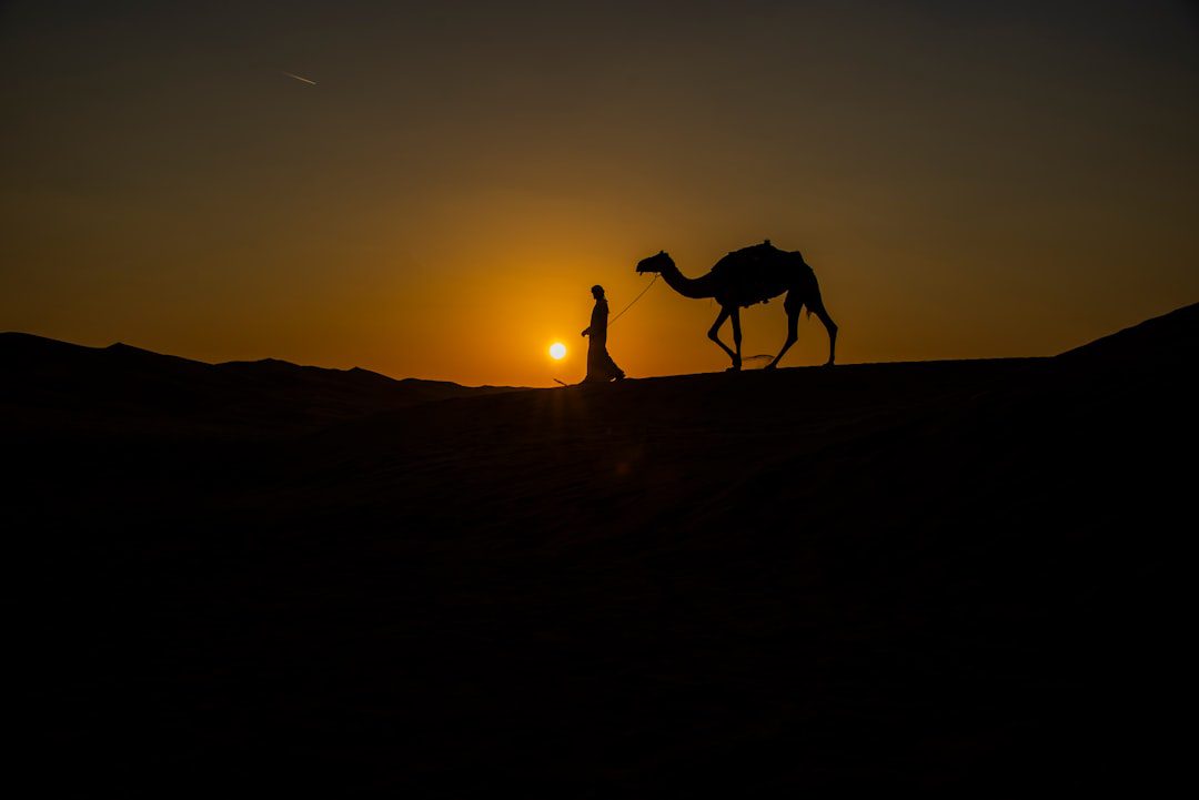 Dubai Abu Dhabi Dress Code – Experience Guide