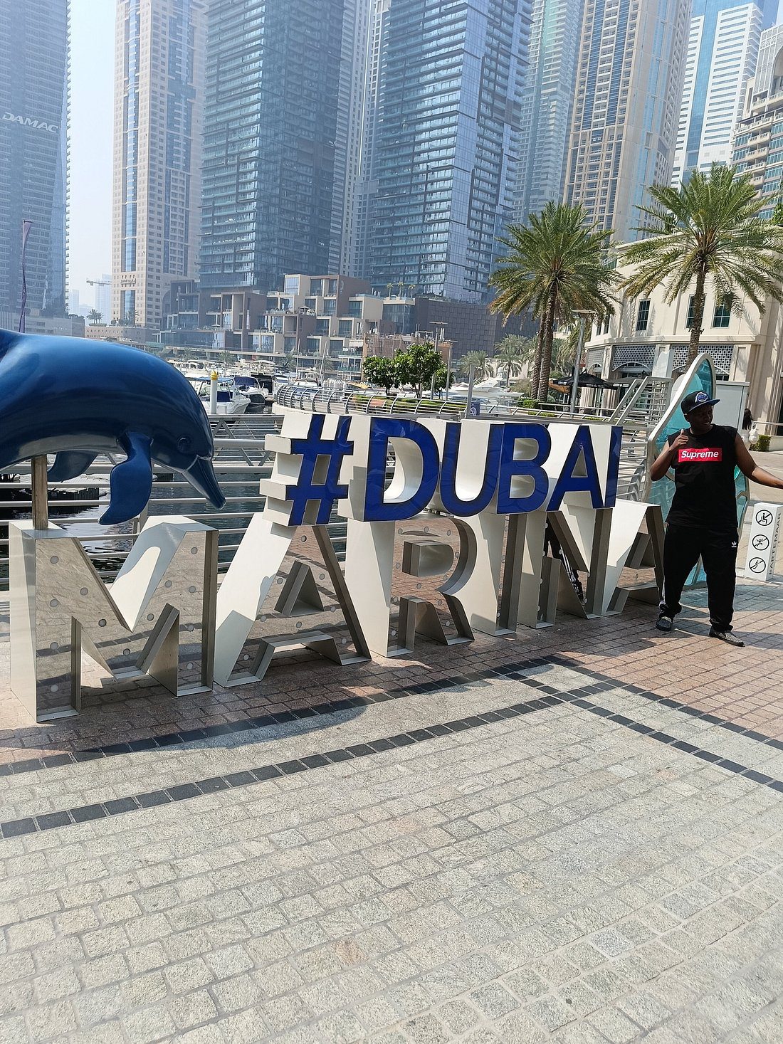 Marina Walk Dubai – Experience Guide
