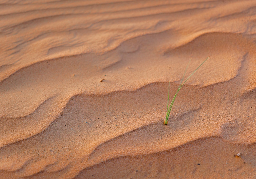 UAE Green Hotels Guide