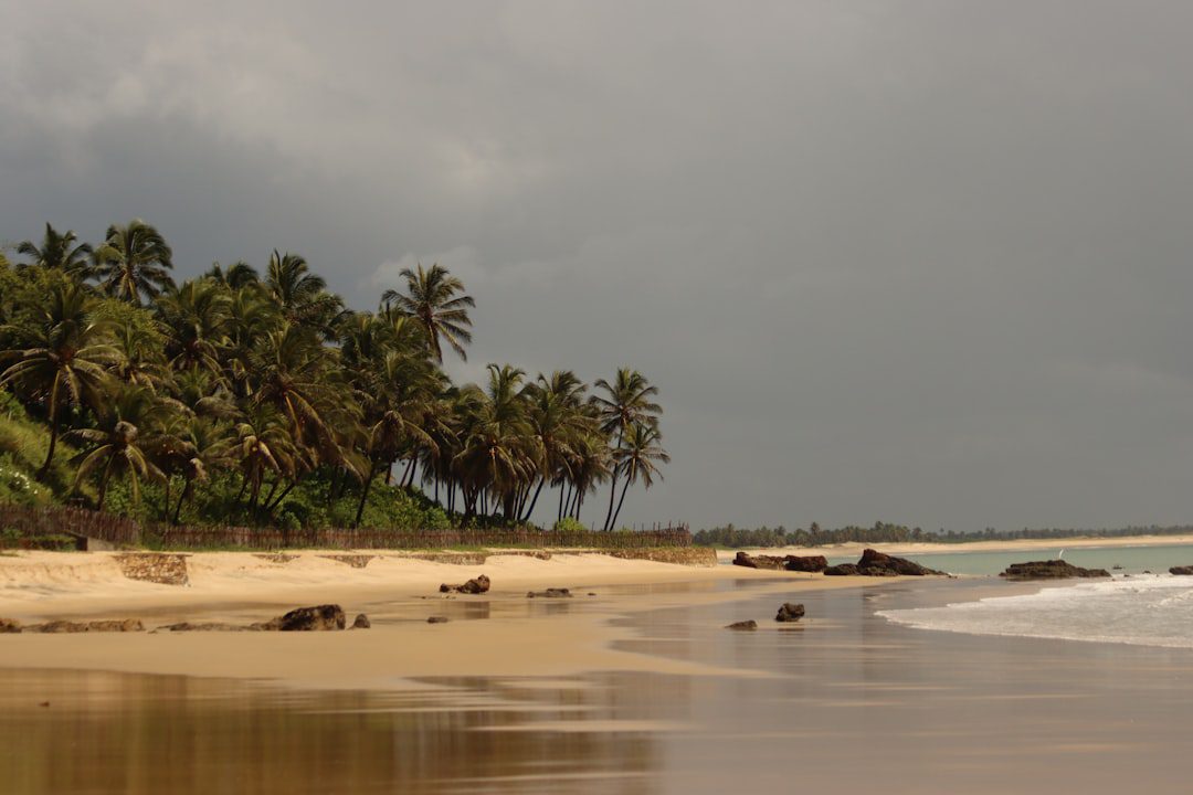 UAE Sustainable Beaches Parks