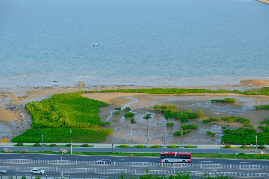 UAE Green Transportation