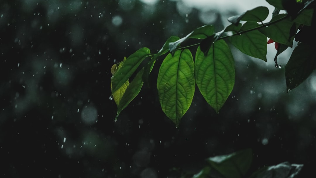 Rainy Day Activities Dubai – Complete Guide 2025
