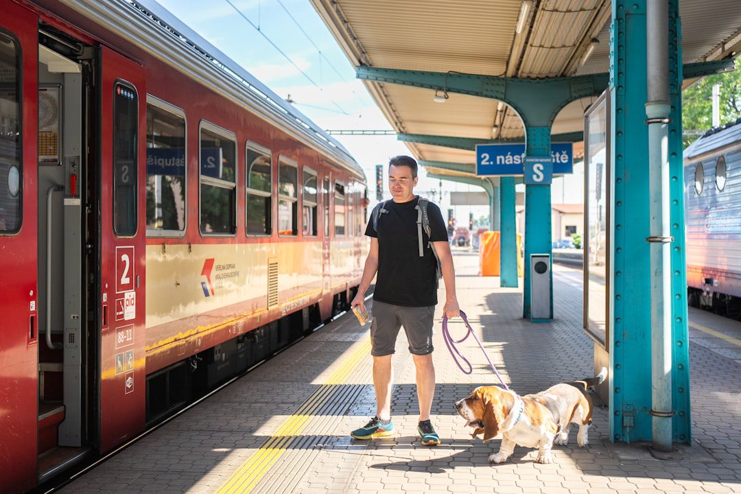 Traveling to Dubai Pets – Complete Guide 2025