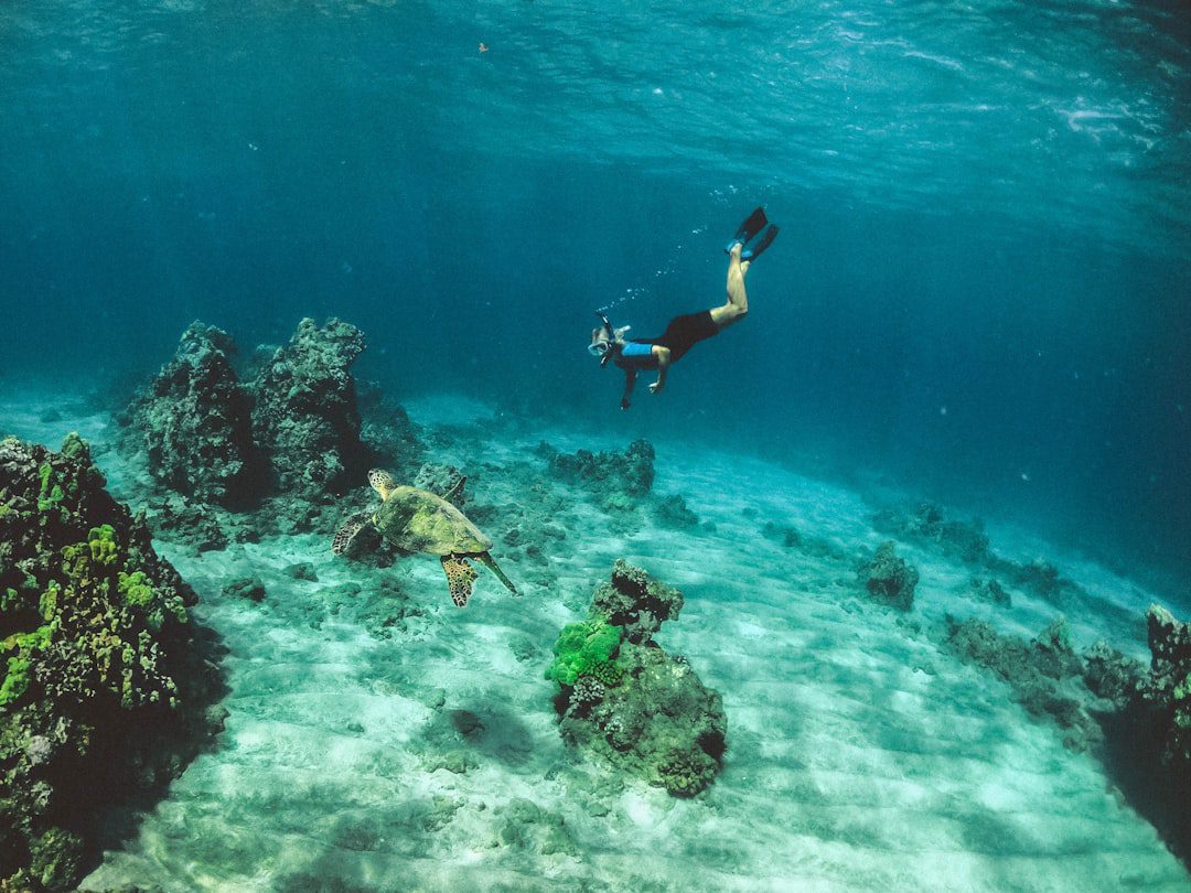 Snorkeling in Dubai Guide – Complete Dubai Guide