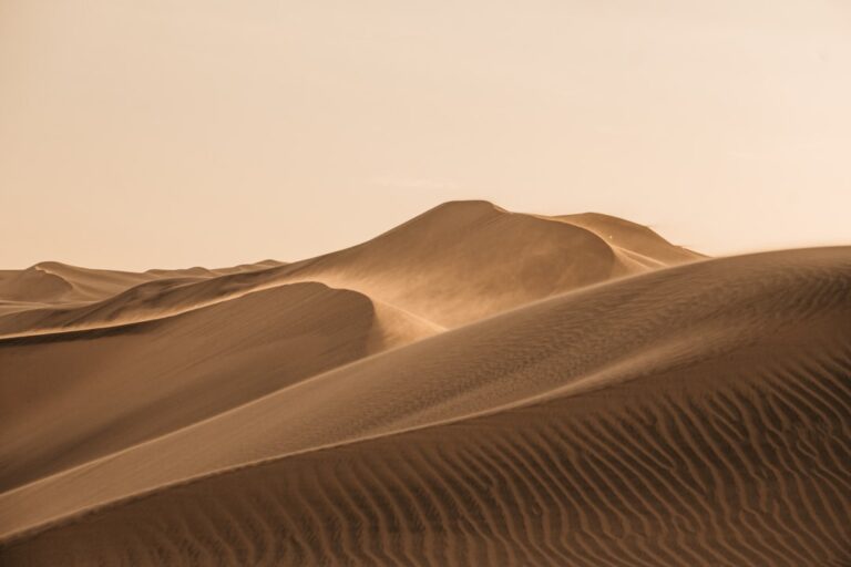 Dune Bashing During Pregnancy – The Medical Truth - TripHabibi Dubai Tour Guide