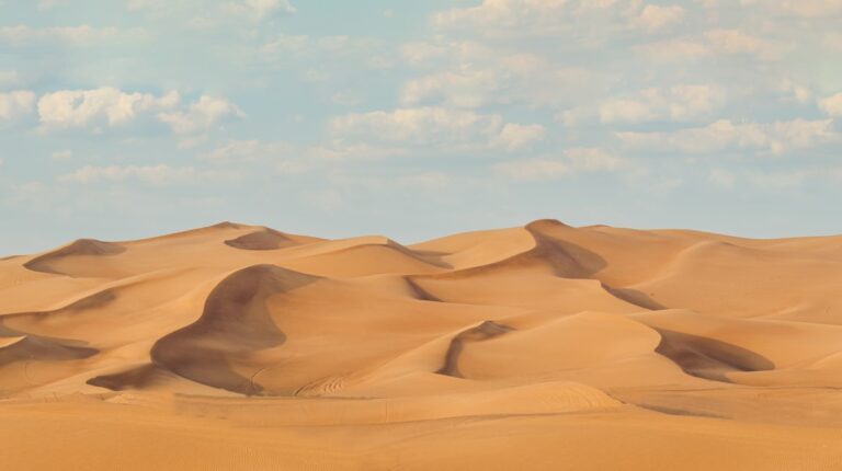 Gentle Desert Drive Dubai – Experience Guide - TripHabibi Dubai Tour Guide