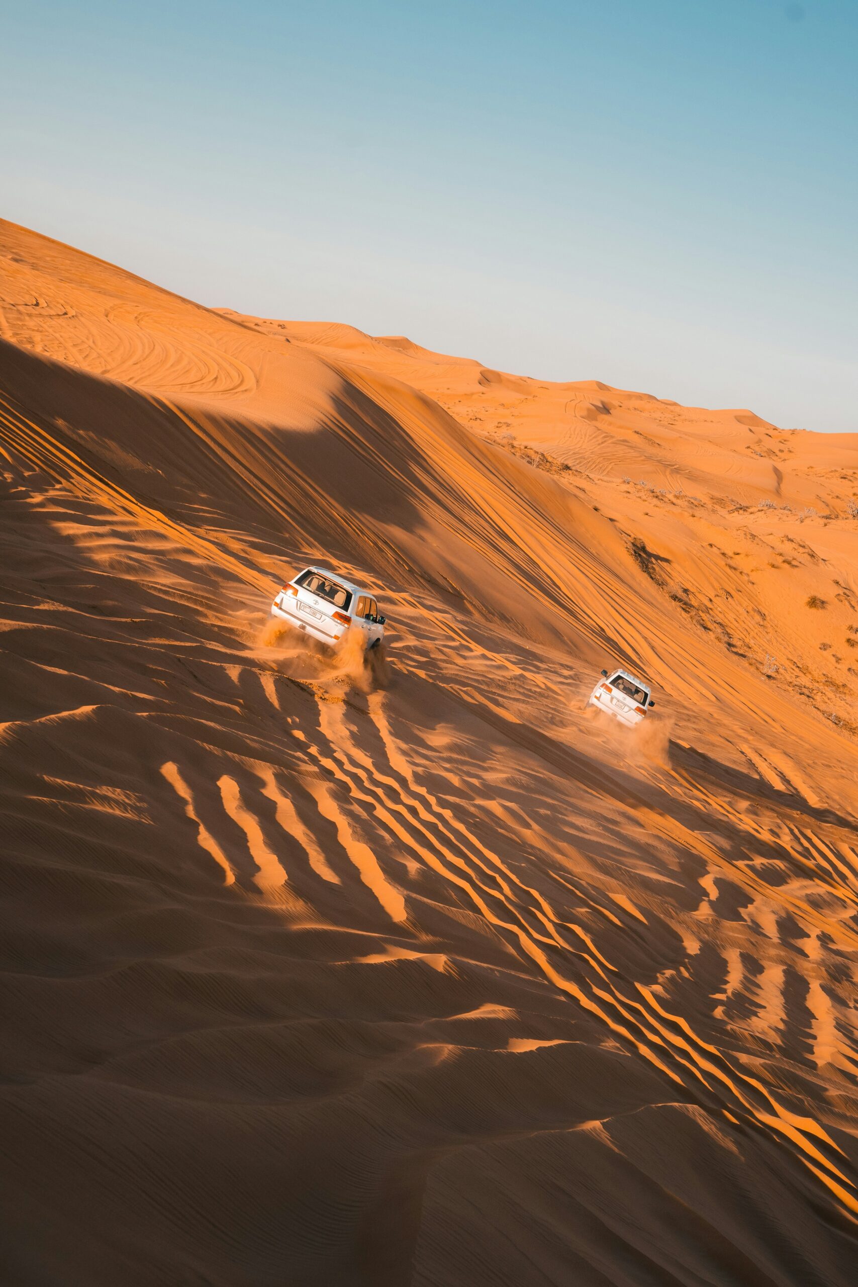 Best Kid-Friendly Desert Safari Dubai Without Dune Bashing - TripHabibi Dubai Experience