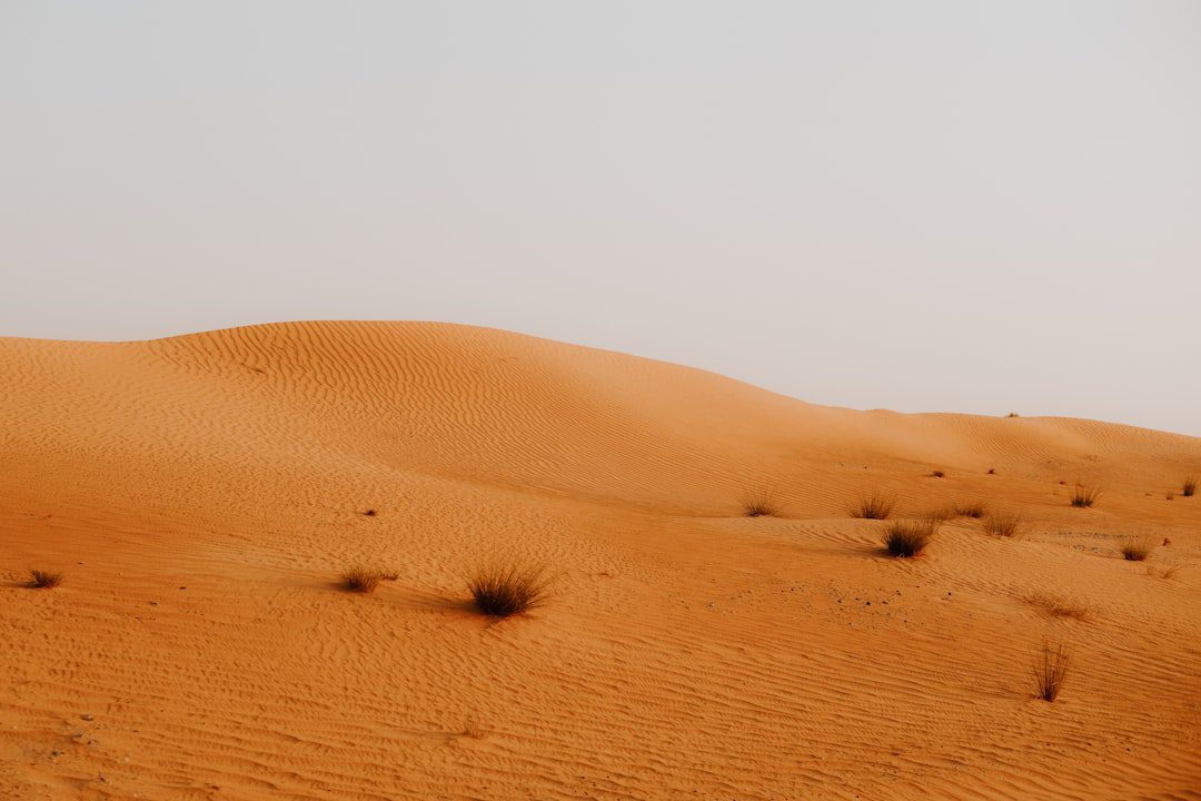 Child Booster Seat Safari Dubai: Ensuring Safety in the Dunes - TripHabibi Dubai Experience