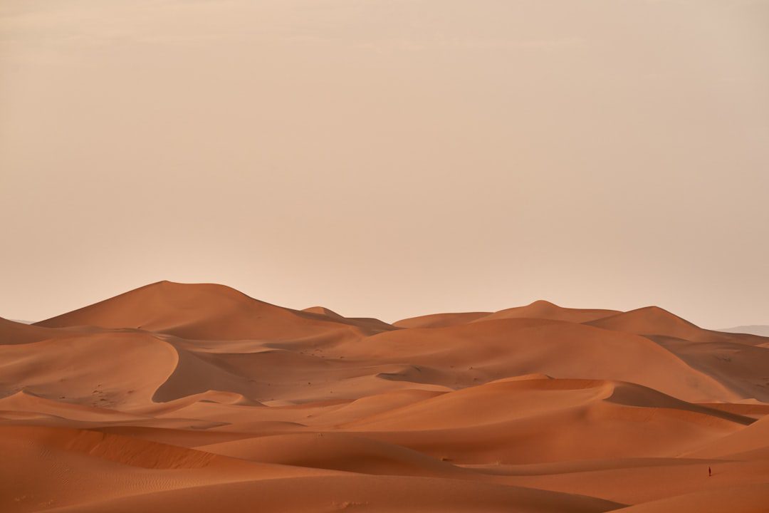 Sunrise Desert Balloon Ride — Complete Guide - TripHabibi Dubai Tour Guide
