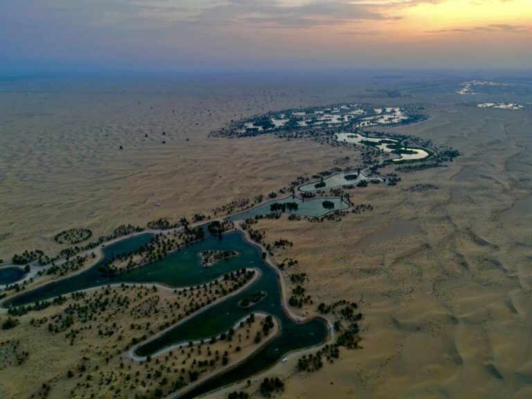 Al Qudra Lakes Dubai — Complete Guide - TripHabibi Dubai Tour Guide