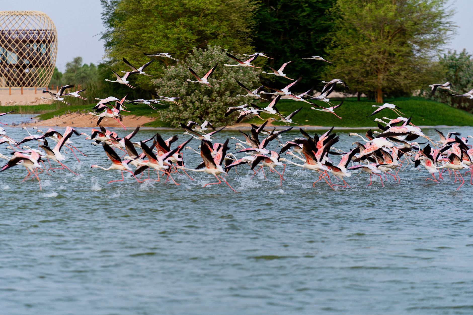 Understanding Al Qudra Lakes Dubai — Al Qudra Lakes Dubai — Complete Guide