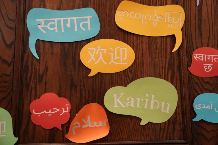 Language Barriers International Transit: Complete Guide - TripHabibi Dubai Tour Guide
