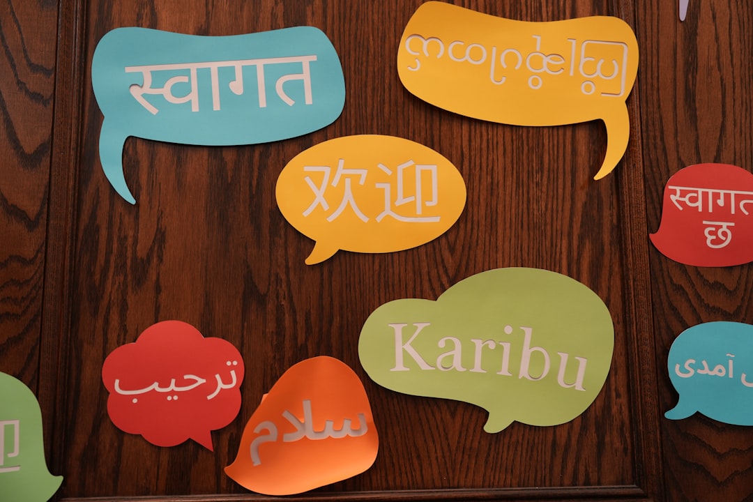 Language Barriers International Transit: Complete Guide - TripHabibi Dubai Tour Guide