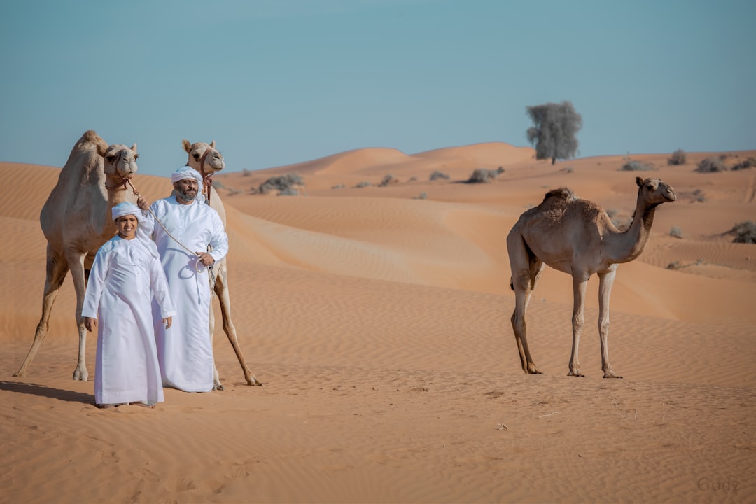 Ras Al Khaimah Travel Guide — Complete UAE Adventure Guide - TripHabibi Dubai Tour Guide