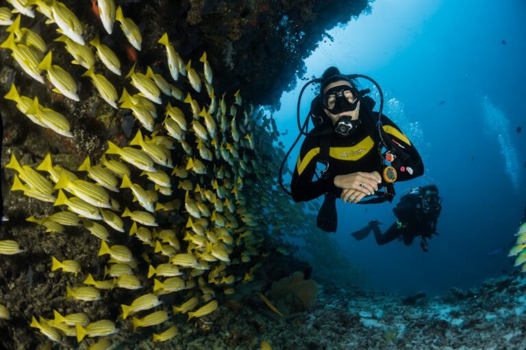 Scuba Diving Dubai Guide — Complete Underwater Guide - TripHabibi Dubai Tour Guide