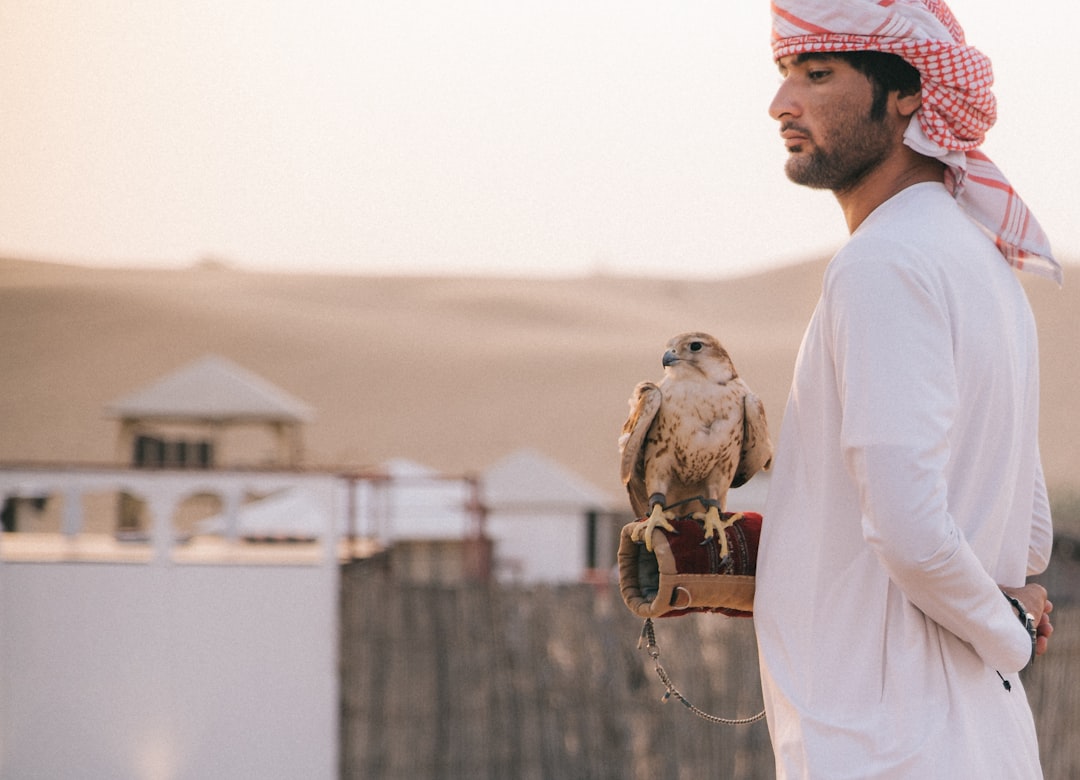 Best Places for Birdwatching: Private Tour Guide for UAE Visitors - TripHabibi Dubai Tour Guide