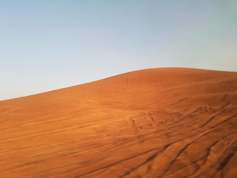 Day Trip Abu Dhabi Dubai — Complete Guide - TripHabibi Dubai Tour Guide