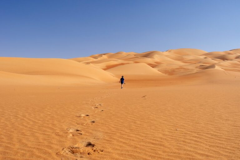 Liwa Desert Safaris: Private Tour Guide for UAE Visitors - TripHabibi Dubai Tour Guide
