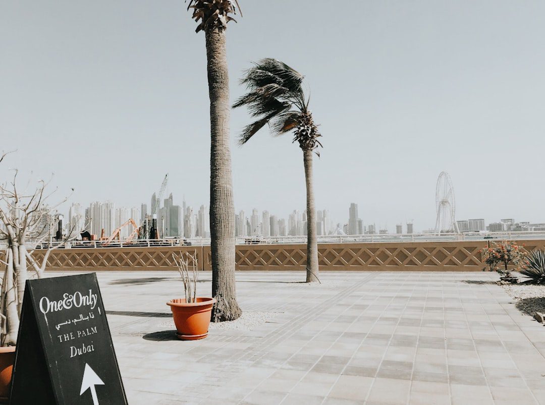 Understanding Dubai Vegetarian Vegan Guide — Vegetarian Vegan Dubai Guide — Complete Guide