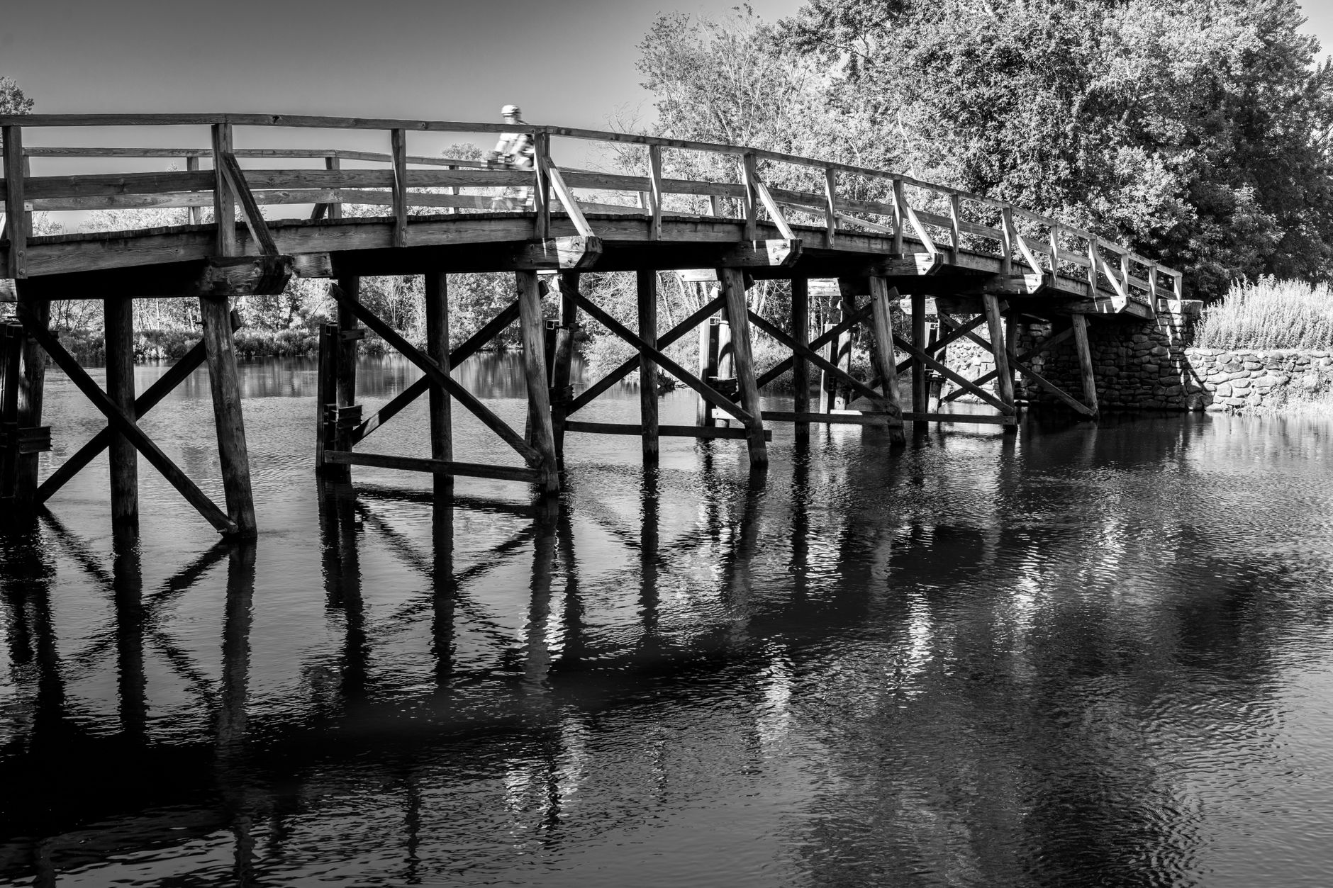 Understanding Mushrif National Park Bridge — Mushrif National Park Bridge: Cycling & Hiking Guide