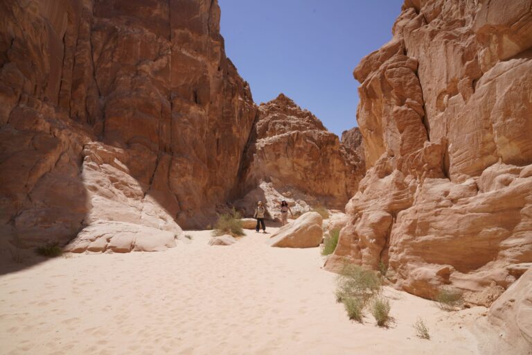Wadi Wurayah Visitor Guide: Explore the UAEs First Natural UNESCO Site - TripHabibi Dubai Tour Guide