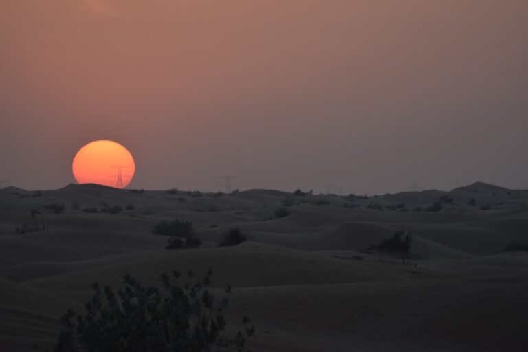 Dubai Night Desert Safari — Complete Guide - TripHabibi Dubai Tour Guide