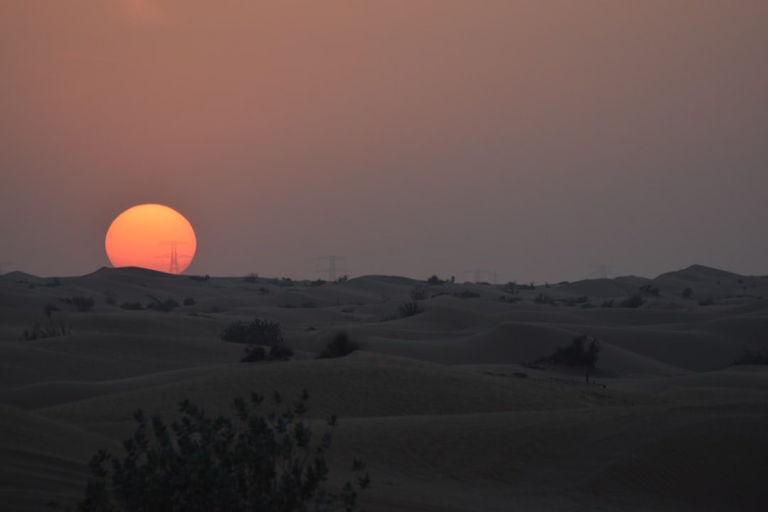 Dubai Night Desert Safari — Complete Guide - TripHabibi Dubai Tour Guide
