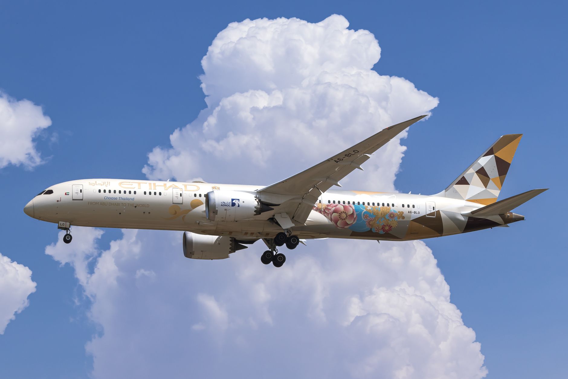 Etihad Red Sea Flights Guide — Complete Guide - TripHabibi Dubai Tour Guide
